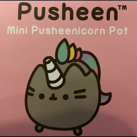 Pusheen Kitchen Box Exclusive Icorn Minipot Poshmark